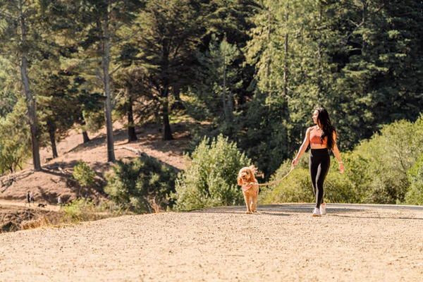 Joaquin Miller Dog Park